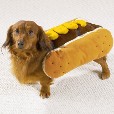 hot-dog-mustard-small[1].jpg